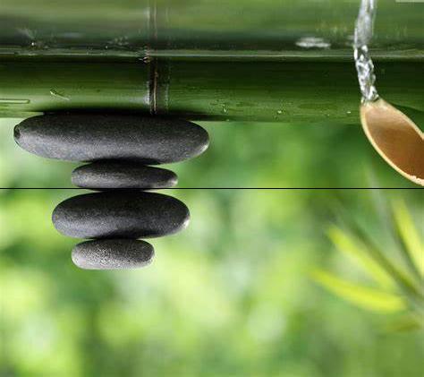 verticallyRotated